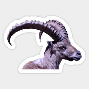 Capricorn II / Swiss Artwork Photography Sticker